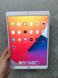 iPad Pro 10.5吋 256G 銀色