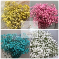 [🌼READYSTOCK现货🌼] (350gram) FRESH BABY BREATH BUNGA SEGAR 满天星 FRESH FLOWER GYPSOPHILA Cameron Highlan