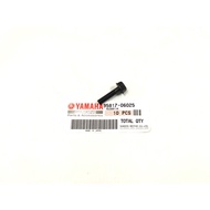 Rxz Bolt / Skru Master Pump Original HLY