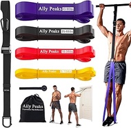 Ally Peaks Pull Up Assistance Bands System,Up to 410 lbs Assistance, Resistance Bands,Adjustable and