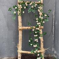 Decoration Wall Hanging Indoor Wall Simulation Hanging Orchid Winding Decoration Pipe Blocking Vines