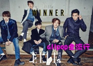 allpop Korean Magazine ELLE 2014.11 [WINNER Separate Book] Imported From Korea WINNER Park Jae-Hyun