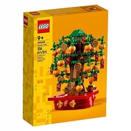 LEGO 40648 金錢樹  1盒