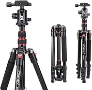 BONFOTO B690A Camera Tripod for Travel,Lightweight Aluminum Portable DSLR Tripod with 360 Degree Ball Head and Carry Bag, Camera Stand for Ring Light &amp; Canon Nikon Sony DSLR