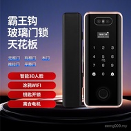 3D Graffiti Hole-Free Office Glass Door Fingerprint Face 928 Password Remote Overlord Hook Identific