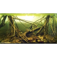 Branches, Guava Leaves And Duckweed set Aquarium biotope