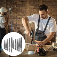 Screw Extractor Set,10 Pcs Screw Extractor,1/4inch Hex Shank Broken Screw Extractor,Screw Remover & 