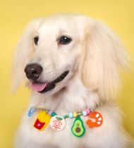 客製化 id 項鍊 - 狗/貓項鍊，帶有圖標和電話號碼 + 吊飾