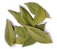 dried Bay leaf Laurel (Laurus nobilis) daun salam turkey the Mediterranea  sweet bay tree common bay
