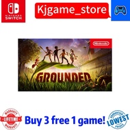 Nintendo switch Grounded *digital* switch grounded Nintendo switch