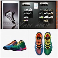 NIKE (男) ZOOM FREAK 1 EP 字母哥 陰陽球鞋 籃球鞋-CW3202800-原價4000元