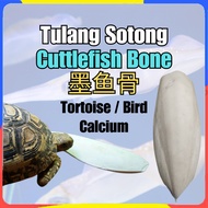 Petsee Bone Cuttlefish Bone Bird Food Cuttlefish Bone Cuttlefish Cuttlefish Bone Big Frog Tortoise Calcium