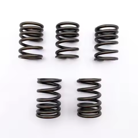 Intake Exhaust Valve Spring for Stels 700H Hisun 700 14751-F39-0000 14751-007-0000 LU027635 14761-F3