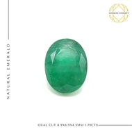 Natural Emerald - Batu Zamrud 100% Asli Unheated Color (Oval Cut 8.9x6.9x4.5mm 1.79 carat) Tempah Ci