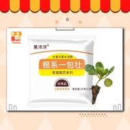 1 Pek Serbuk Pengakaran Baja Pelepasan Perlahan Hormon Pengakaran Akar Tumbuhan Serbuk Hormon Pertum