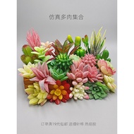 Micro Landscape Simulation Flower Fake Succulents Scene Landscaping Decorations Cactus Stone Lotus J