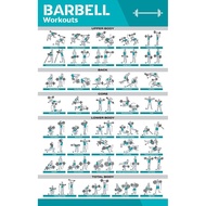 Barbell Workout Exercise Poster for Home Gym Exercise Posters for Full Body Workout Core Abs Legs Gl