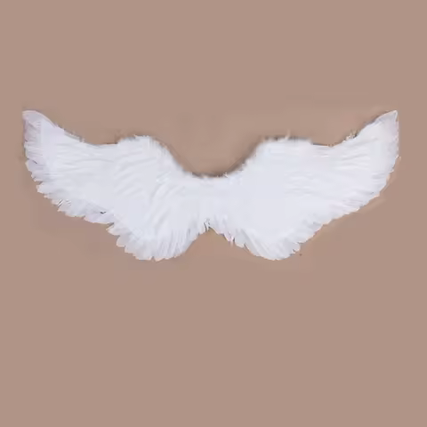 Angel Wings White Feathers Flying Swallow Performed Halloween Props Bride Flower Girl Dressed Up Cos