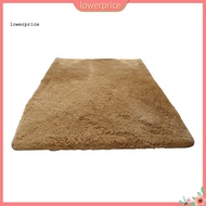 {lowerprice}  Soft Plush Bedroom Rug Solid Color Shaggy Carpet with Non-slip Backing Cozy Fuzzy Floo