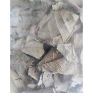 Dried Guava Leaves for Isopods Reptiles Bioactive Setup | Natural Leaf Litter | Guava Leaf Tea | Ter