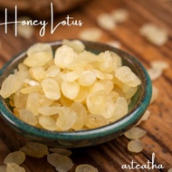 Snow lotus seed/Snow lotus/Xue Lian Zhi