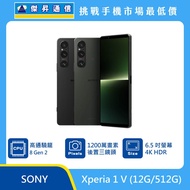   Sony Xperia 1 V (12G/512G)