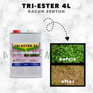 TRI-ESTER 4L / RACUN ANAK KAYU RACUN POKOK BUNUH POKOK KILL TREE CHEMICAL
