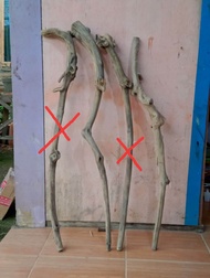 bahan tongkat kayu Tlogosari unik asli panjang 100 cm