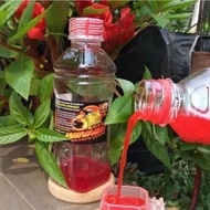 The Winner Pleci Vitamin Supplement Multivitamin Metabolic Doping Booster Pleci Bird Beak Opening Dr