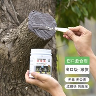 AT/💚Beautiful Plant Wound Coating Agent Fruit Tree Saw Mouth Protective Film Callus Cream Bark Rot Flow Glue Healing Age
