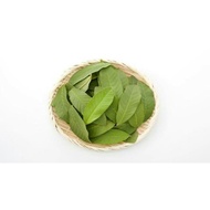 Guava leaves