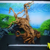 🔥🔥Driftwood for aquarium🔥🔥special craft driftwood L size