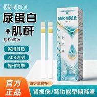 好物推荐！恒品尿白肌酐检测试纸条用级肾功能慢肾炎尿常规检测纸 Recommended product Hengpin urinalbumin and creatinine test strips fo