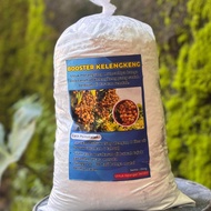 Kclo3 500gr / Booster kelengkeng bongkahan