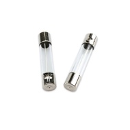 Glass Fuse 6 * 30mm 7A/8A/10A/15A/20A/25A Protective Tube Fuse 100pcs/Box 2SEP