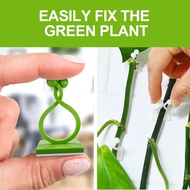 【VVL】-300PCS Plant Climbing Wall Fixture Clips Plant Vine Wall Clips Wall Plant Support Hook for Cli