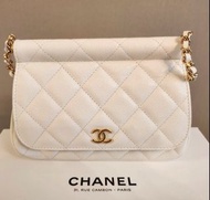 Chanel 22k Vanity 貝殼包 (大號)