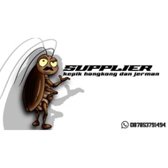 Kumbang Kepik Ulat Jerman Super Paket Hemat 500 Ekor Kumbang Kepik
