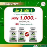 EXพลูคาว สมุนไพร พลูคาว คาวตองเม็ด พลูคาวสะกัดเข้มข้น   Houttuynia Cordata 1 กระปุก 30 แคปซูล พลูคาว