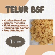 Premium Quality BSF Eggs