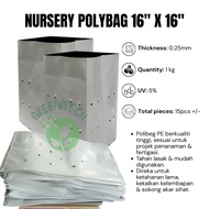 NURSERY POLYBAG 16" x 16" (1KG)