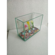 Betta fish solitary Aquarium + decoration size 20x10x15
