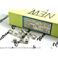1pc-Japan Nagasawa 538J GDL T 1/8A (0.125A) 250V Slow-Melting 6.3x32mm Fuse