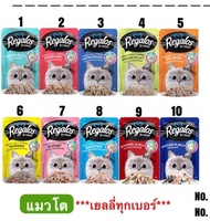 รีกาลอส Regalos เพ้าซ์ คละรส48ซอง อาหารแมวเปียก รสชาติหลากหลาย อร่อยโดนใจ