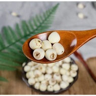 Lotus Seed/Lotus Seed/Lien Zi