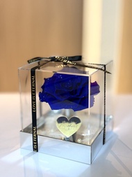 永生花厄瓜多爾藍玫瑰母親節禮物