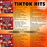 Usb pendrive song mp melayu tiktok hits 2024 lagu melayu 169 mp3 song