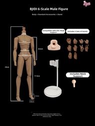 Jointed BJD Doll Body Male Female Version 3rd Proportion Plastic Material in Stock Unbranded BJD/SJD