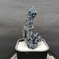 Silver Pillar Leklai 银色柱子力泥 Leklai Goethite 100% Natural Leklai