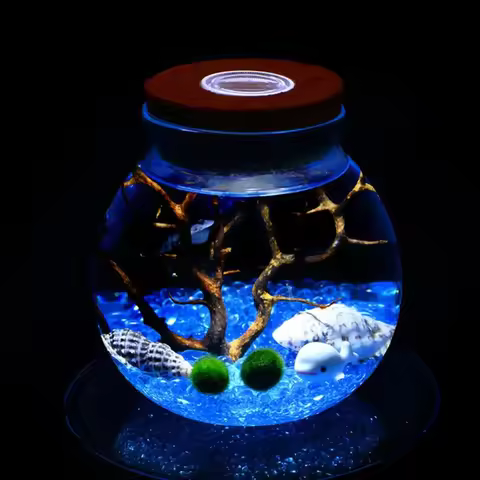 11 CM Round Glass Jar Terrarium with Colorful LED Light Cork Micro Landscape Ecological Bottle Night